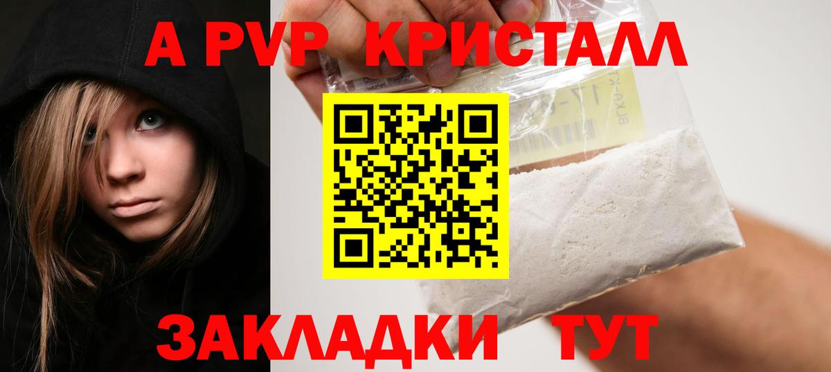 Alfa_PVP СК Великий Новгород